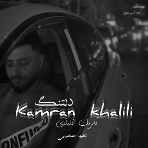 Kamran Khalili Deltang Musicya.ir دانلود آهنگ هر شو این دیوونه تو تنهایی با عکسای ته سر کنه